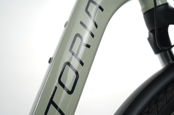 Victoria eTrekking 7.8