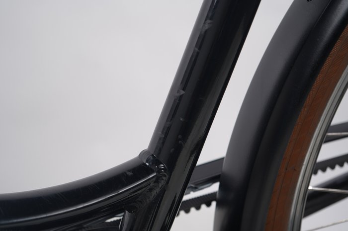 Riese & Müller Swing