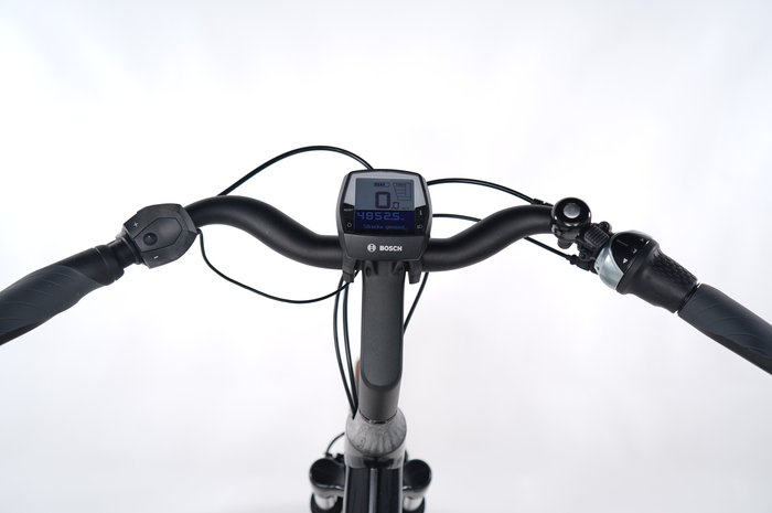 Riese & Müller Swing rücktritt