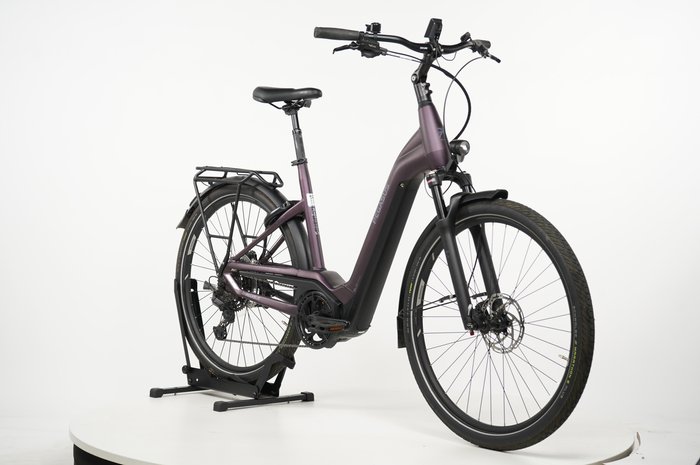 PEGASUS Premio 11
