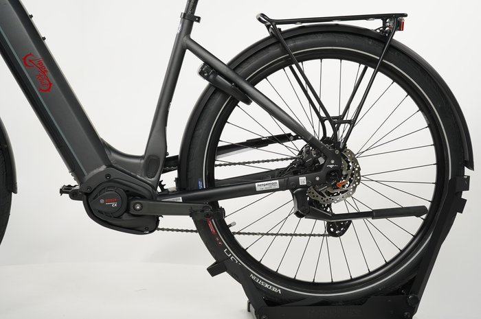 ADVANCED EBIKE Trekking Pro Wave
