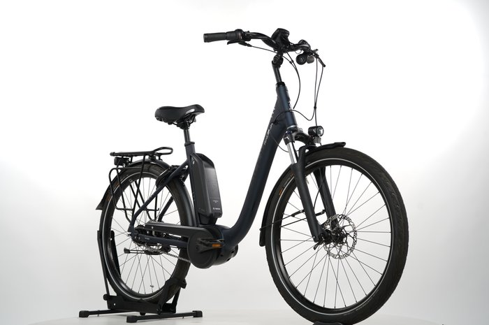 Raleigh Kingston 8