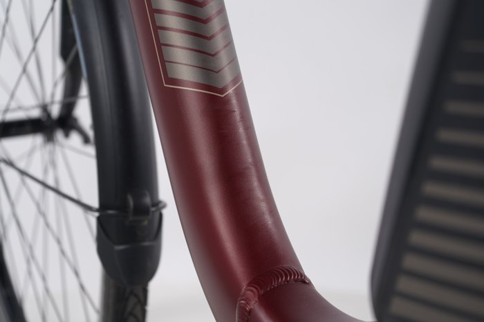 Raleigh Kingston 8 FL