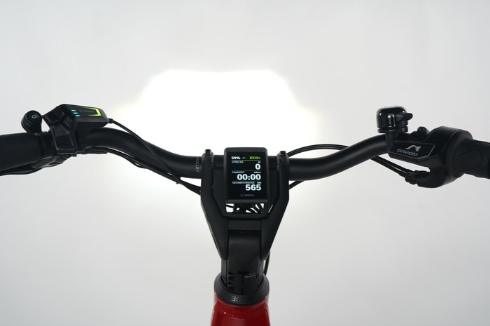 Riese & Müller Nevo4 GT vario