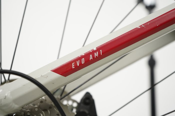 BULLS Sonic EVO AM1 29″/27,5″