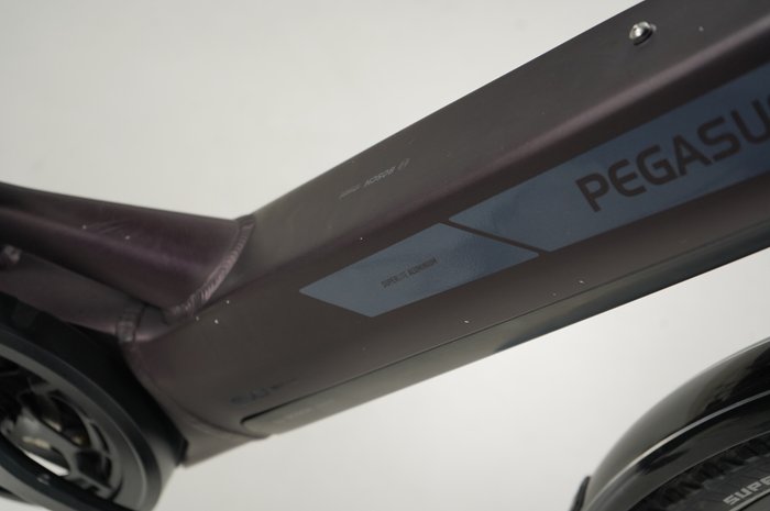 PEGASUS Solero Evo 9