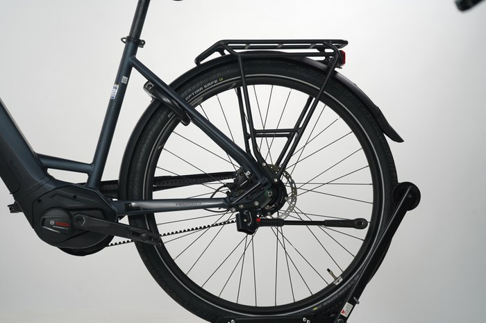 Pegasus Premio EVO 5R Belt