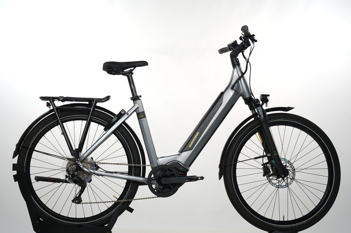 Winora Sinus iX10