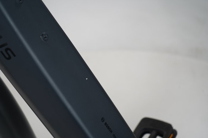 Pegasus Premio EVO 5R Belt