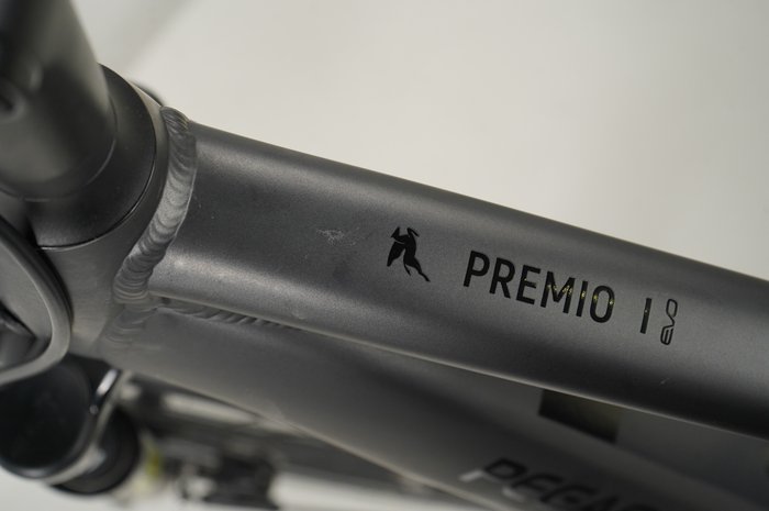 PEGASUS Premio EVO 5R Belt