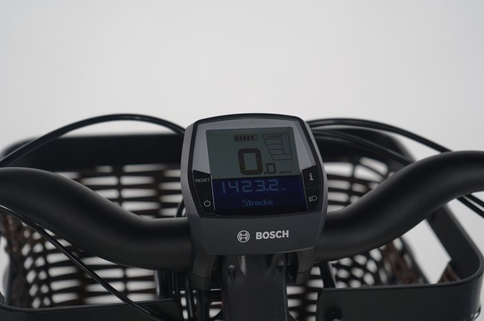 Riese & Müller Swing vario