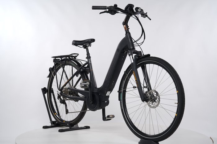 Mammut-Bike E-Dition Sport 10