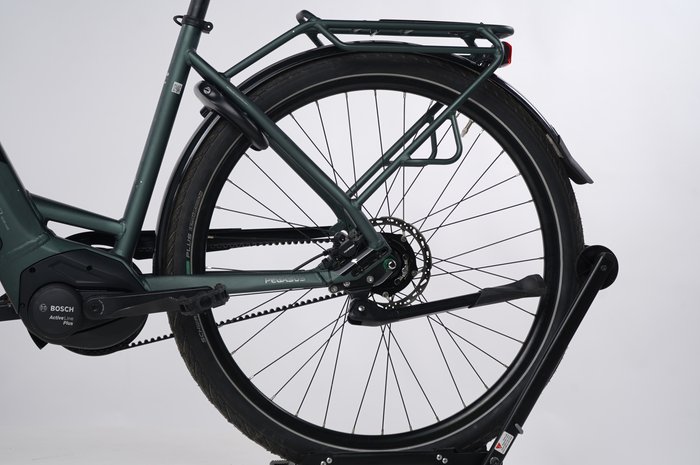 PEGASUS Solero Evo 8R Belt