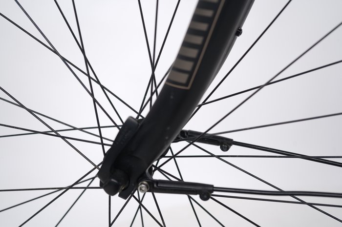 Raleigh Kingston 8 FL