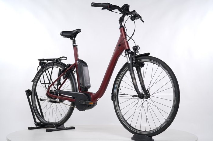 Raleigh Kingston 8 FL