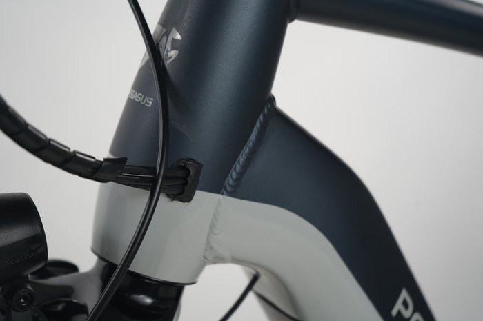 Pegasus Premio EVO 10 Lite