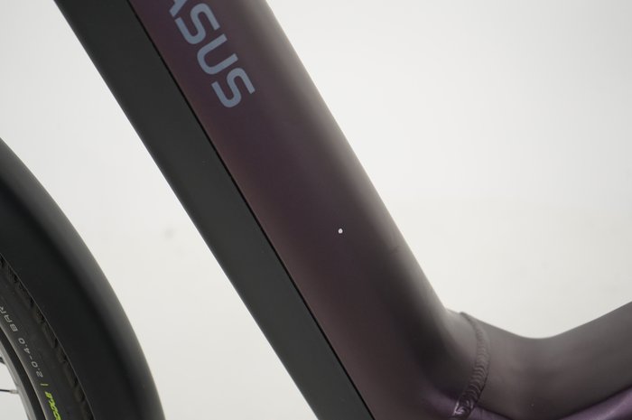 PEGASUS Premio 11