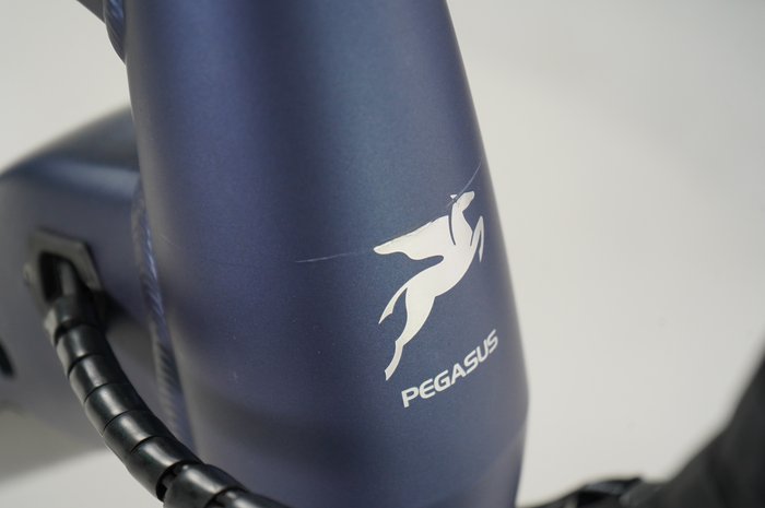 PEGASUS Strong EVO 5R
