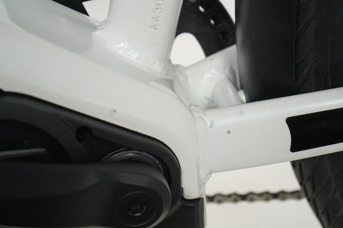 PEGASUS Premio EVO 10 Lite