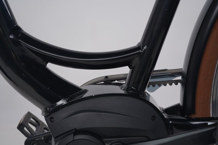 Riese & Müller Swing rücktritt