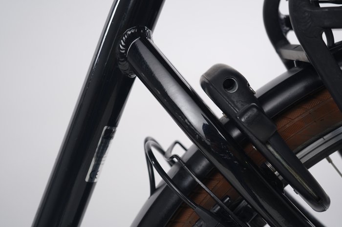 Riese & Müller Swing