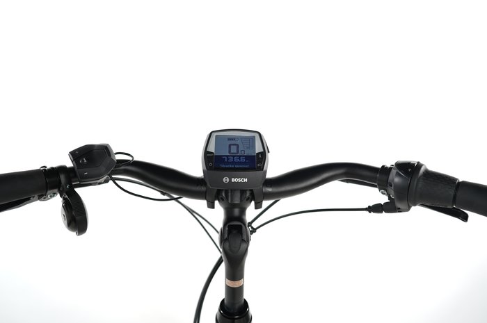 Raleigh Kingston 8