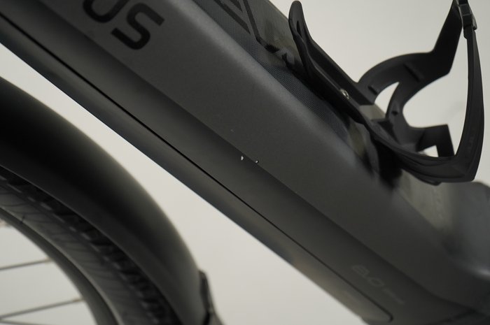 PEGASUS Premio EVO 5R Belt
