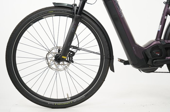 PEGASUS Premio Evo 11