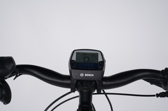 Raleigh Kingston 8 FL