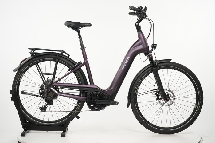 PEGASUS Premio 11