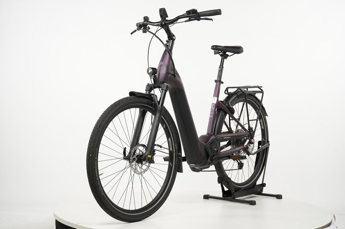 PEGASUS Premio 11