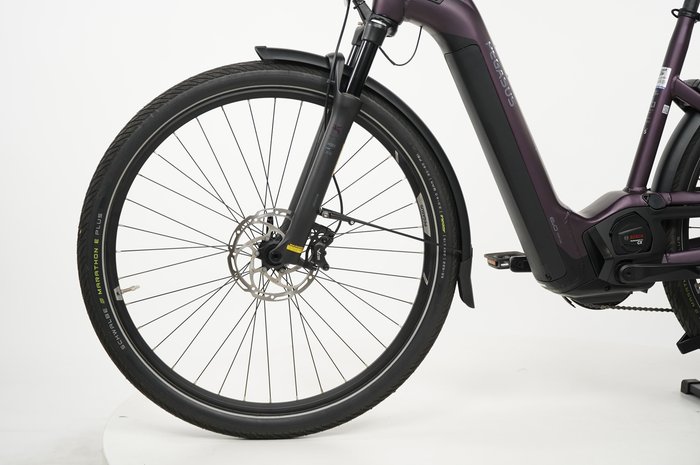 PEGASUS Premio 11