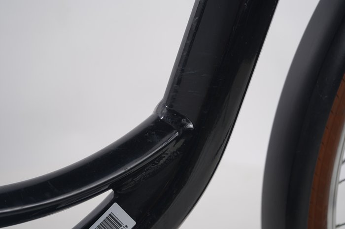 Riese & Müller Swing