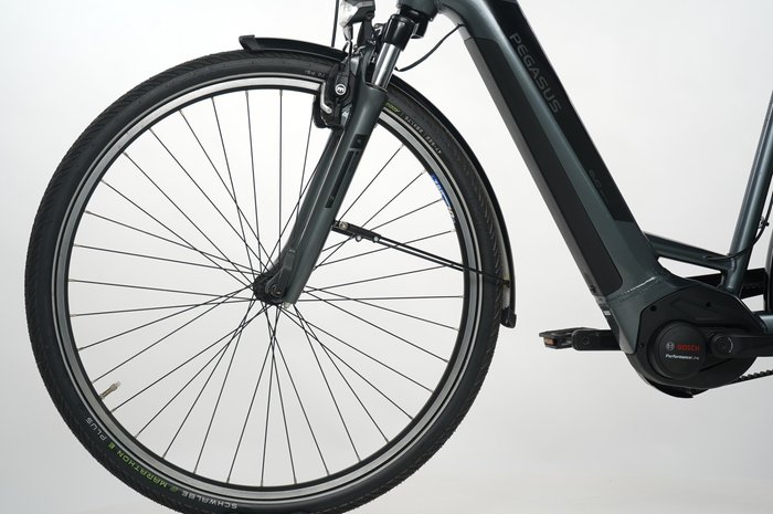 PEGASUS Premio EVO 5R Belt