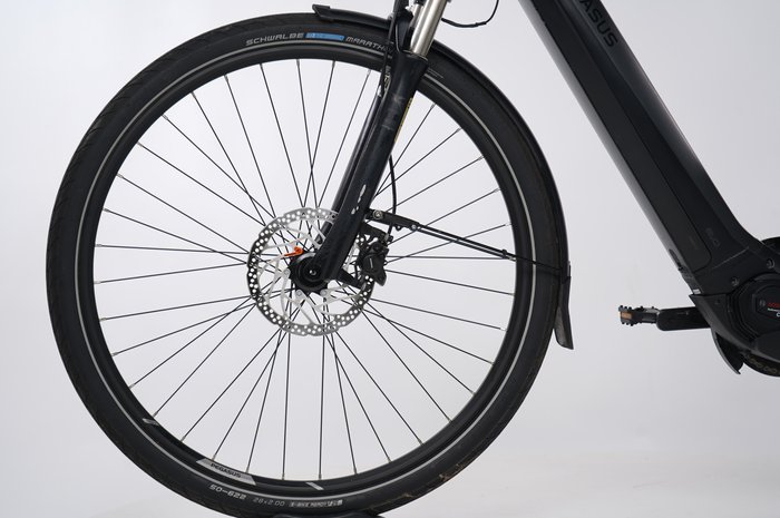 PEGASUS Premio Evo 10 Lite