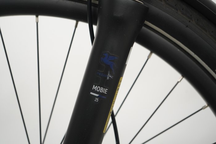PEGASUS Strong Evo 10 Lite