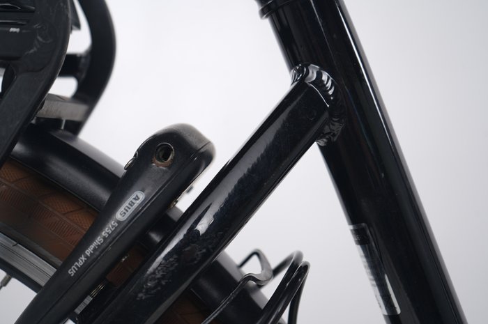 Riese & Müller Swing