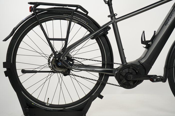 PEGASUS Premio EVO 5R Belt