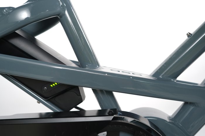 Tern GSD S00 20″