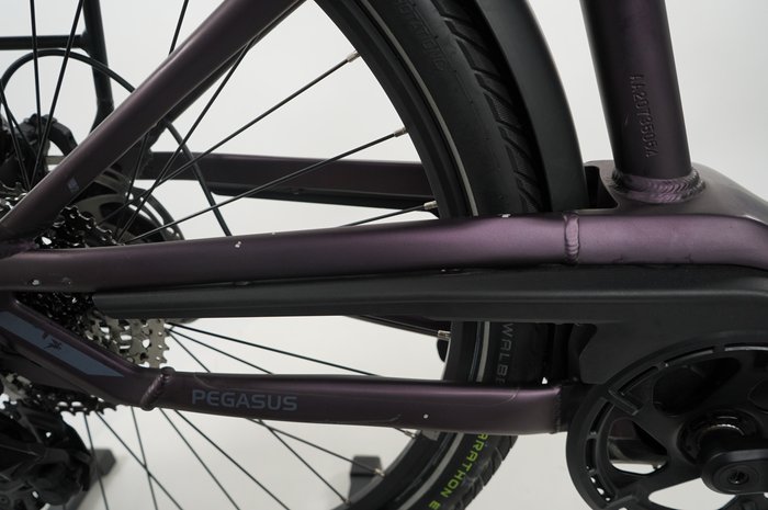 PEGASUS Premio EVO 11