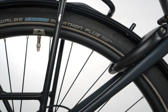 PEGASUS Premio EVO 10 Lite