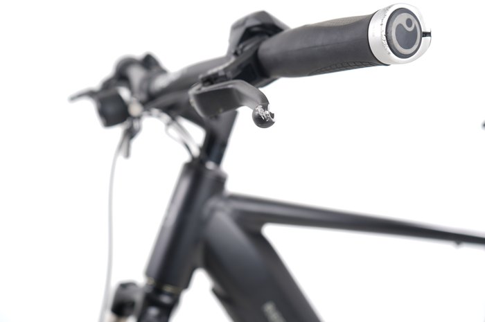 Riese & Müller Roadster vario HS