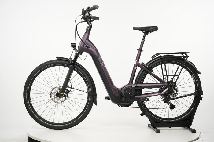 PEGASUS Premio 11