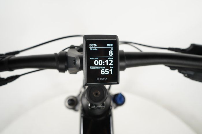 Trek Powerfly 4 625w Gen 4