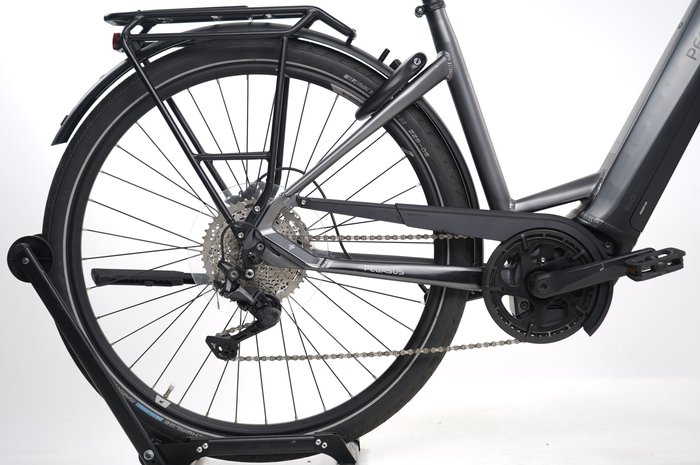 Pegasus Premio EVO 10 Lite