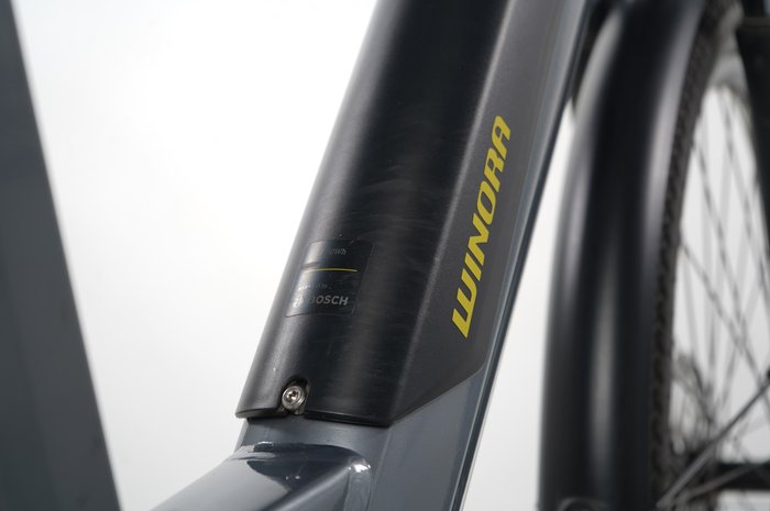Winora Sinus iX10
