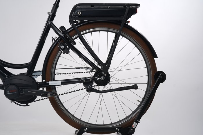 Riese & Müller Swing