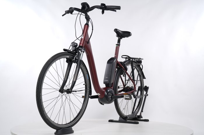 Raleigh Kingston 8 FL