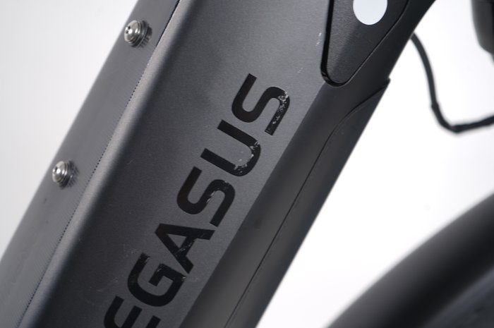 Pegasus Premio EVO 5R Belt