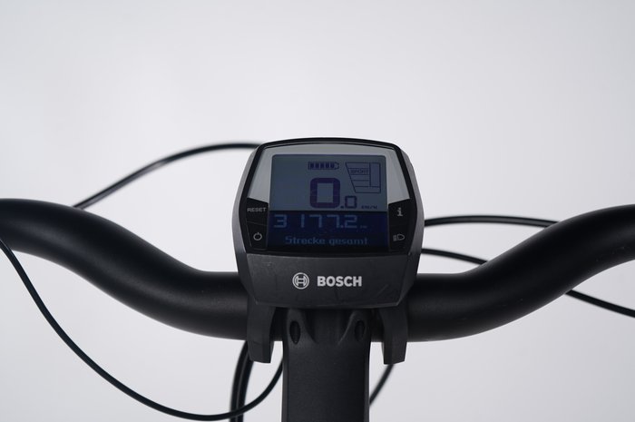 Riese & Müller Swing